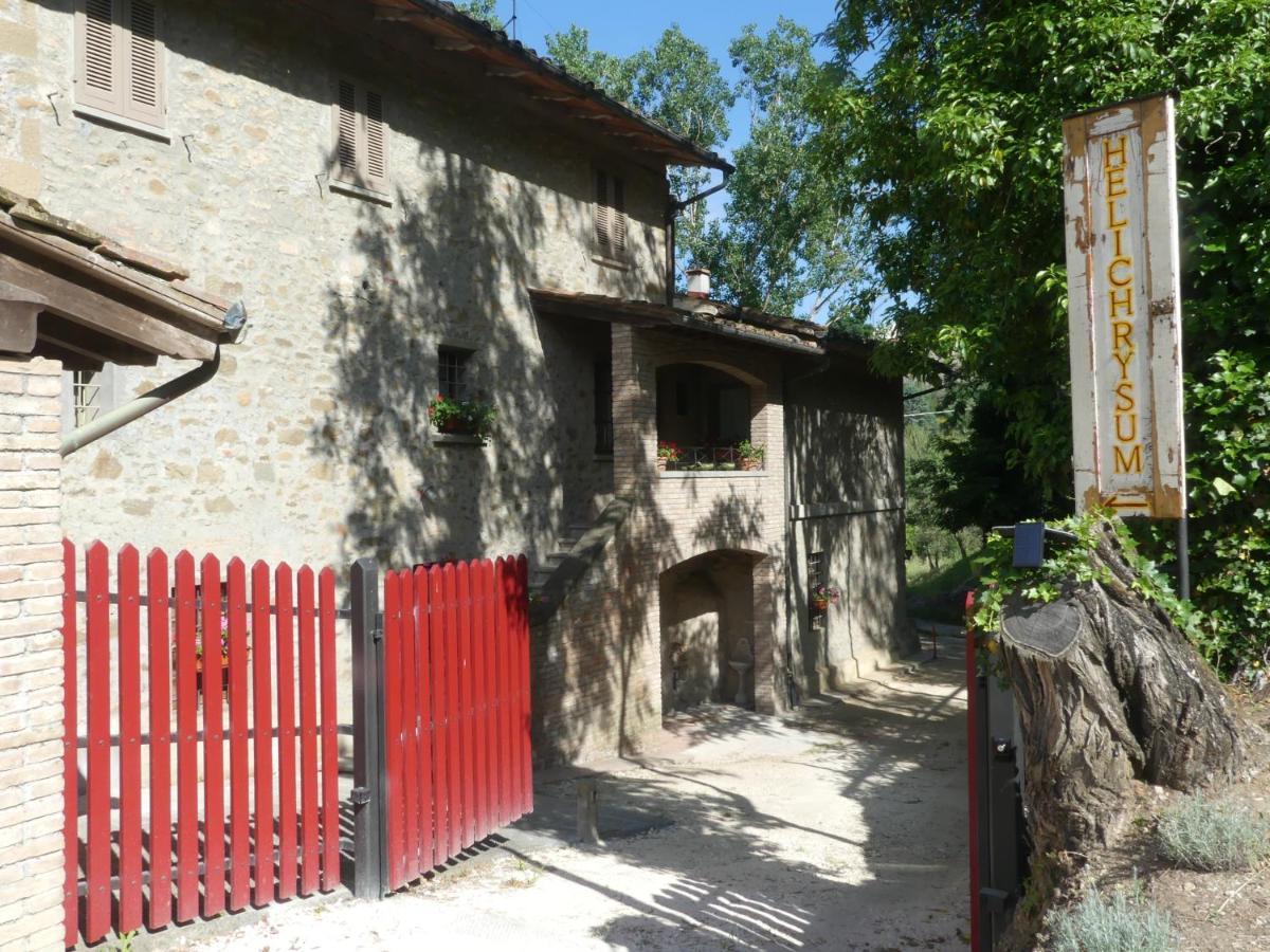 Helichrysum Bed & Breakfast Vinci Ngoại thất bức ảnh