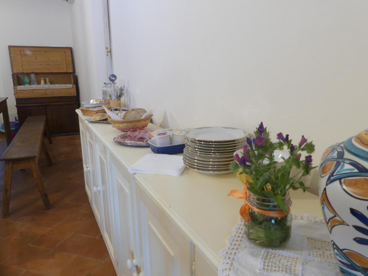 Helichrysum Bed & Breakfast Vinci Ngoại thất bức ảnh