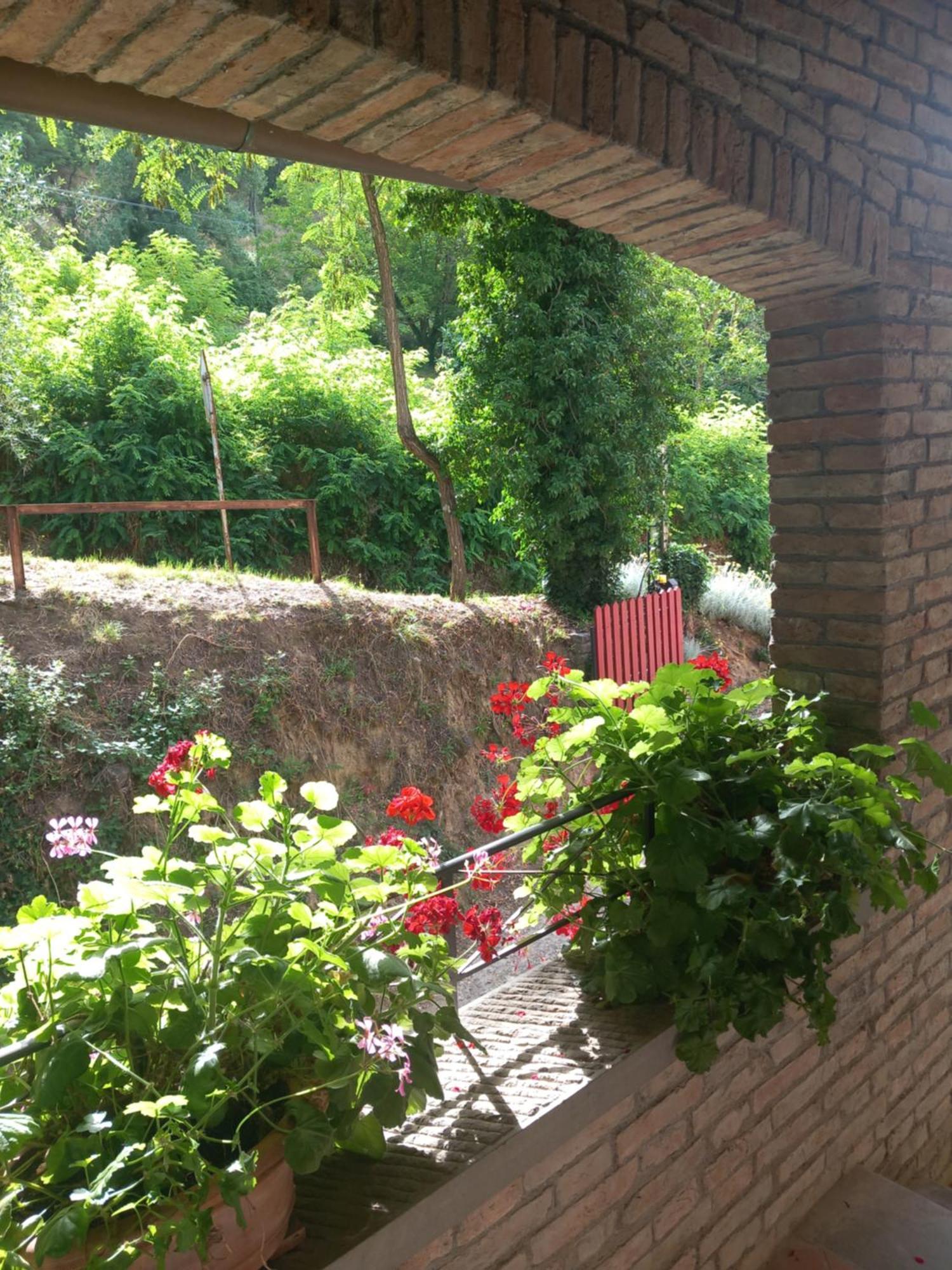 Helichrysum Bed & Breakfast Vinci Ngoại thất bức ảnh