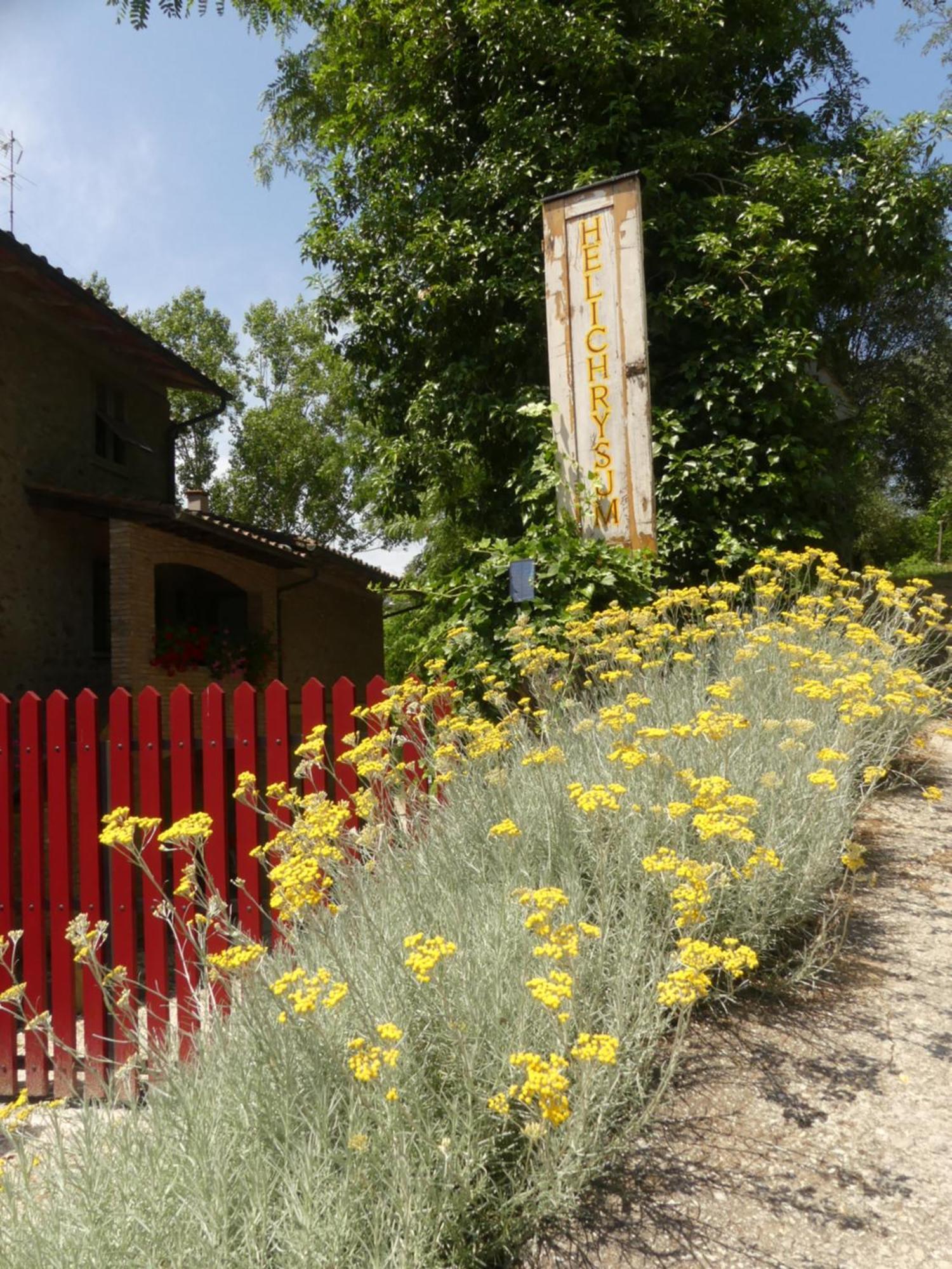 Helichrysum Bed & Breakfast Vinci Ngoại thất bức ảnh