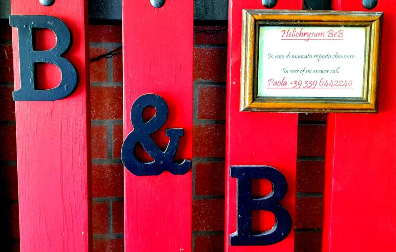 Helichrysum Bed & Breakfast Vinci Ngoại thất bức ảnh